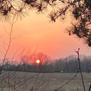 Meet your Posher, Emanuel